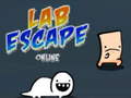 Gioco Lab Escape Online