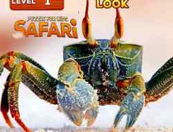 Gioco Puzzle per bambini: Safari 