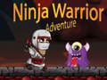 Gioco Ninja Warrior Adventure