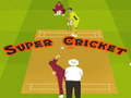 Gioco Super Cricket 
