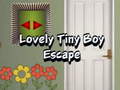 Gioco Lovely Tiny Boy Escape