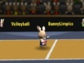 Gioco Bunny volleyball