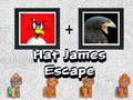 Gioco Hat James Escape
