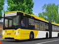 Gioco Public Transport Simulator 2021