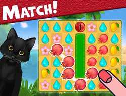 Gioco Isola Puzzle 