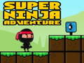 Gioco Super Adventure Ninja
