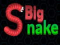 Gioco Big Snake