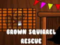 Gioco Brown Squirrel Rescue