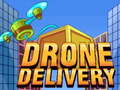 Gioco Drone Delivery