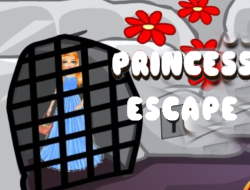 Gioco Principessa fuga 