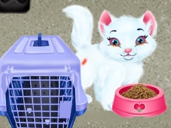Gioco Baby Taylor Pet Care