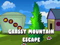 Gioco Grassy Mountain Escape