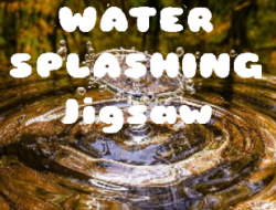 Gioco Puzzle con schizzi d'acqua 