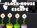 Gioco Black House Escape