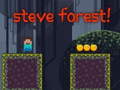 Gioco Steve Forest