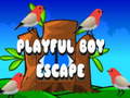 Gioco Playful Boy Escape