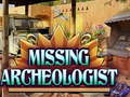 Gioco Missing Archeologist