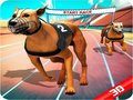 Gioco Crazy Dog Race
