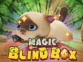 Gioco Magic Blind Box