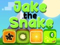 Gioco Jake The Snake