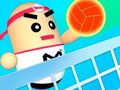 Gioco 3D Amazing VolleyBall