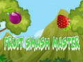 Gioco Fruit Smash Master 