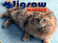 Gioco Jigsaw Master 