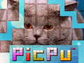 Gioco PicPu Cat 