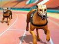 Gioco Dogs3D Races