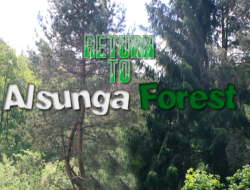 Gioco Ritorno alla foresta di Alsunga 