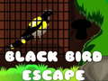 Gioco Black Bird Escape