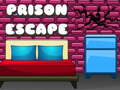Gioco G2M Prison Escape
