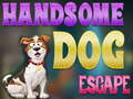 Gioco Handsome Dog Escape