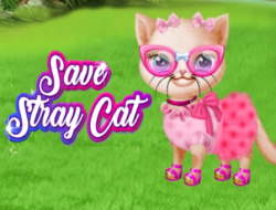 Gioco Salva il gatto randagio 
