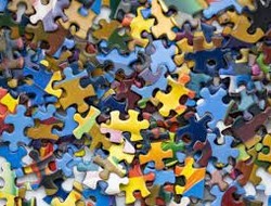 Gioco Varietà di pezzi di puzzle 