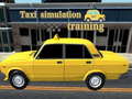 Gioco Taxi simulation training