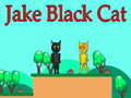 Gioco Jake Black Cat