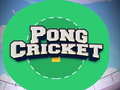 Gioco Pong Cricket