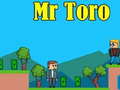 Gioco Mr Toro
