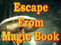 Gioco Escape From Magic Book