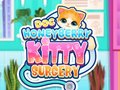 Gioco Doc HoneyBerry Kitty Surgery