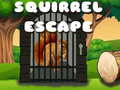Gioco Squirrel Escape