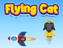 Gioco Gatto volante 