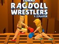 Gioco Funny Ragdoll Wrestlers