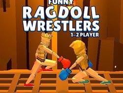 Gioco Divertenti lottatori di ragdoll 