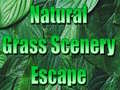 Gioco Natural Grass Scenery Escape