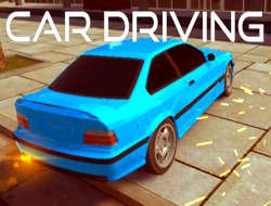 Gioco Guida in auto 