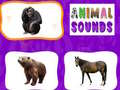 Gioco Animal Sounds