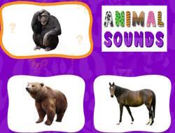 Gioco Suoni animali .