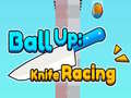 Gioco Ball Up: Knife Racing 
